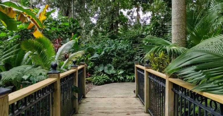 8 Orlando Nature Escapes Within 30 Minutes
