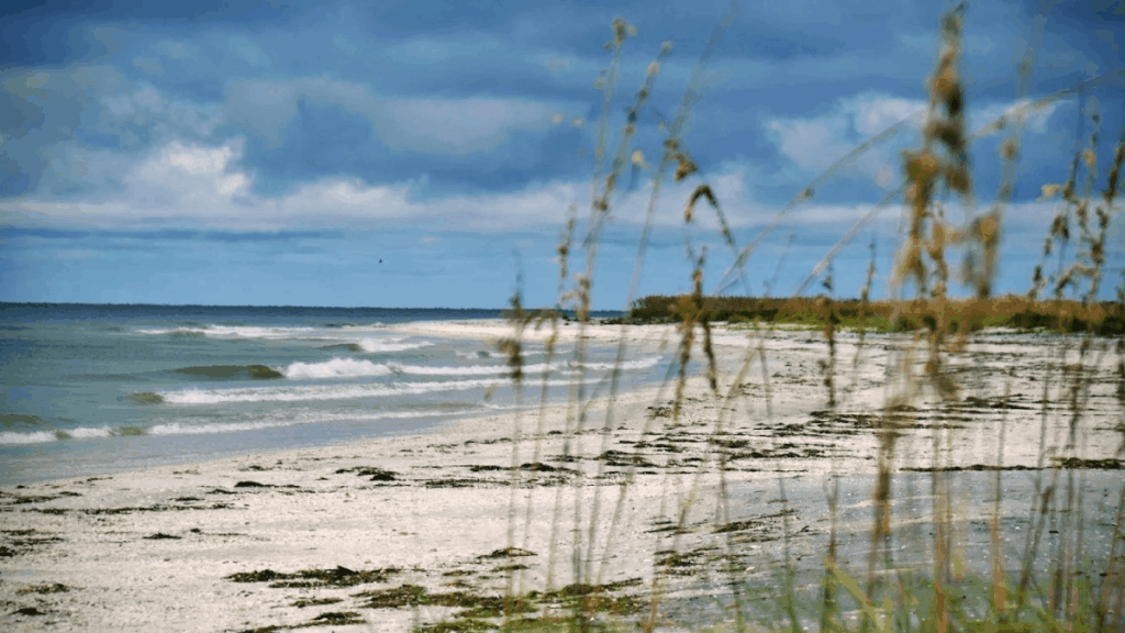 9 Remote Beaches in Florida With No Restaurants, No Shops, and No Rush