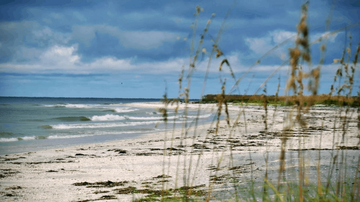 9 Remote Beaches in Florida With No Restaurants, No Shops, and No Rush