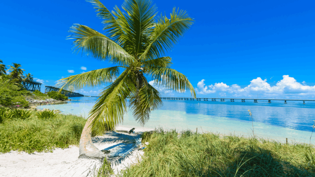 According to ChatGPT, These 10 Florida Beaches Are Straight-Up Paradise