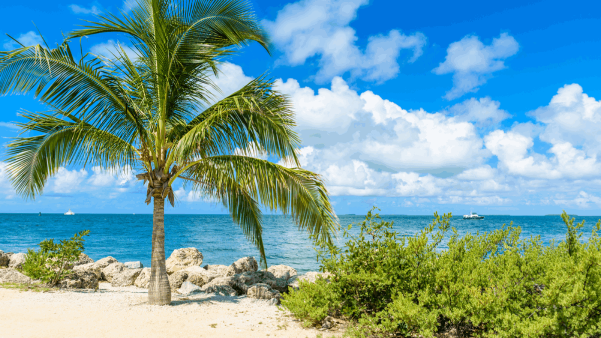 Beaches in Florida With Natural Rock Formations (Yes, Really)