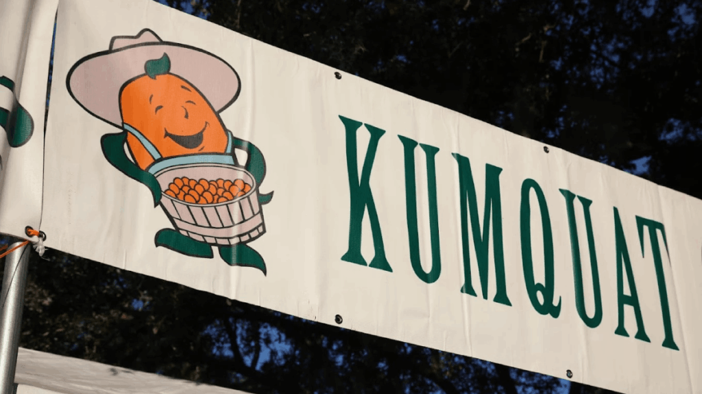 Dade City's Kumquat Festival Is Back January 31—Here's Why You Don't Want to Miss It
