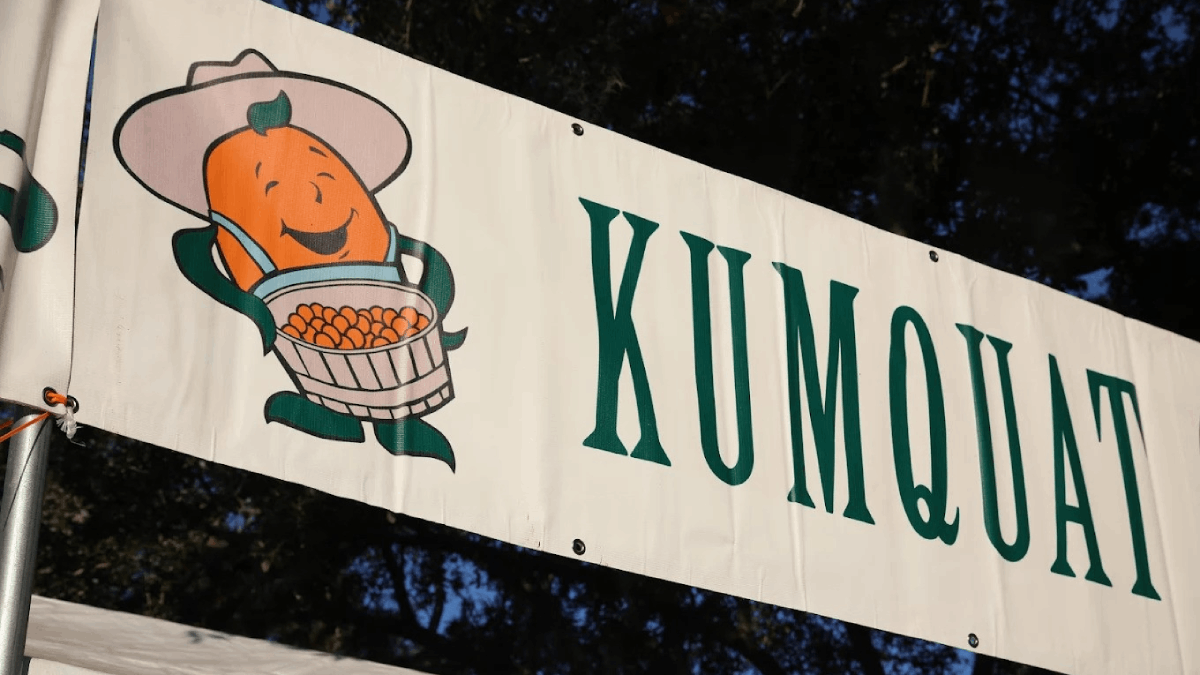 Dade City's Kumquat Festival Is Back January 31—Here's Why You Don't Want to Miss It