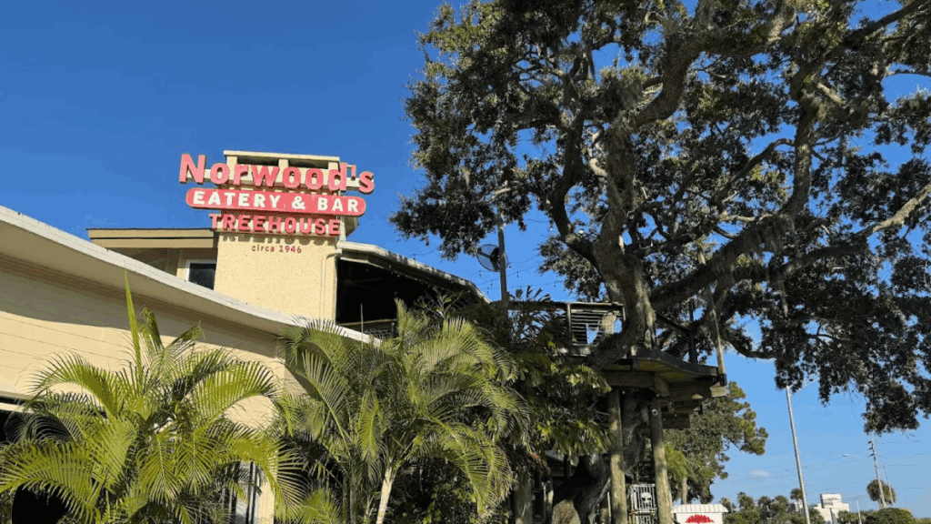 Dine Among the Branches at Florida's Most Magical Treehouse Restaurant