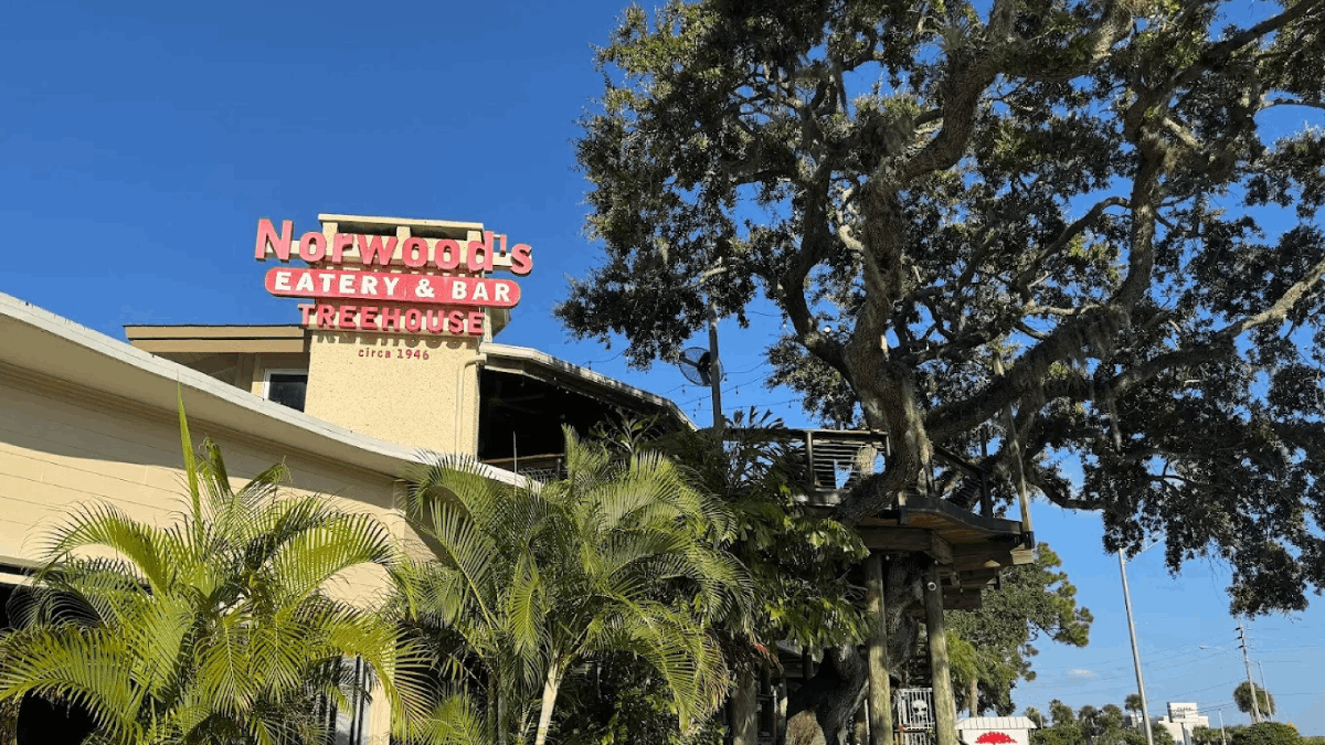Dine Among the Branches at Florida's Most Magical Treehouse Restaurant