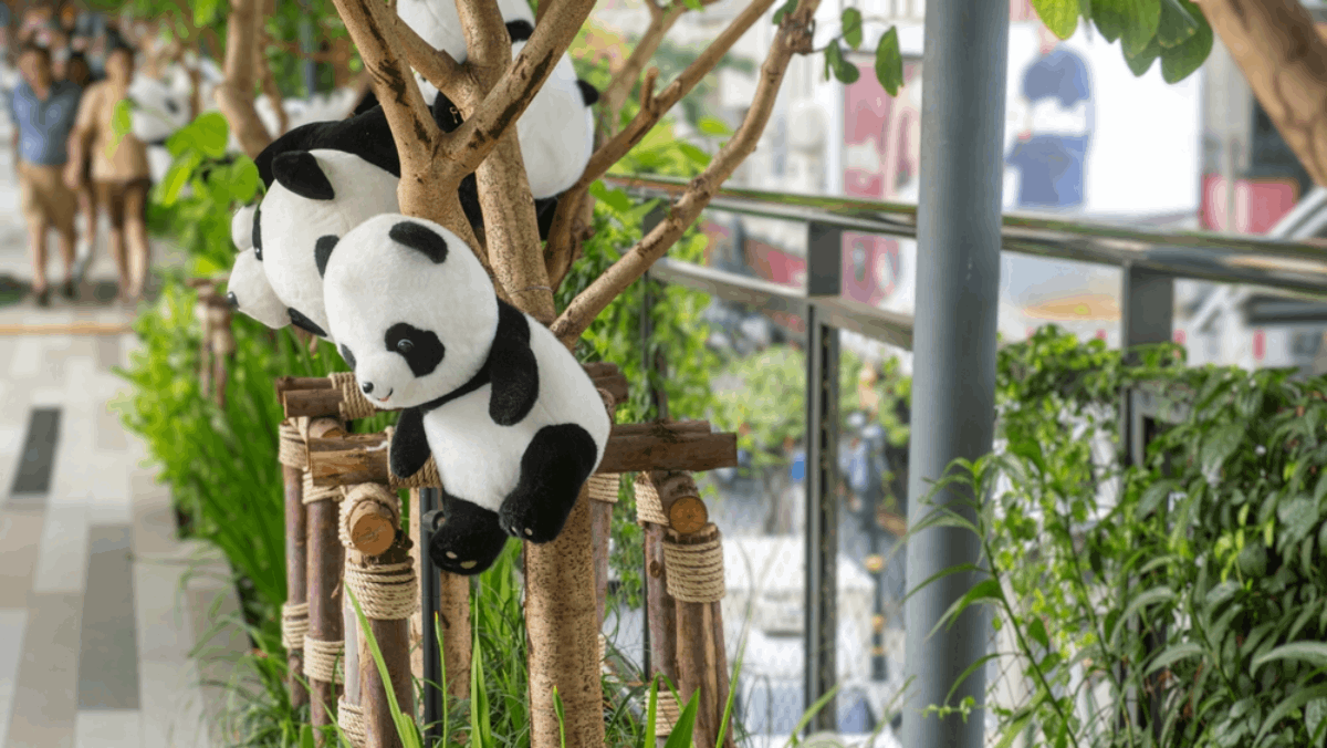 Get Ready for Panda Fest Orlando — A Three-Day Celebration of Asian Food & Culture