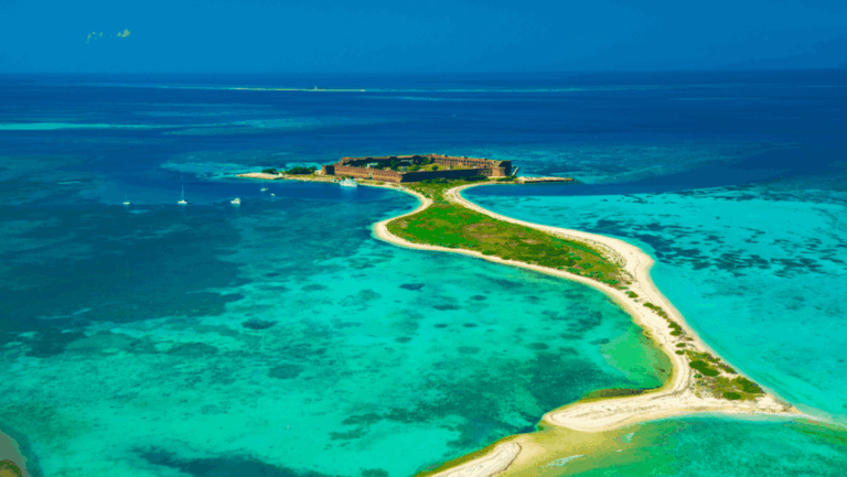 These 6 Florida Islands Are Critical Stopovers for Wildlife