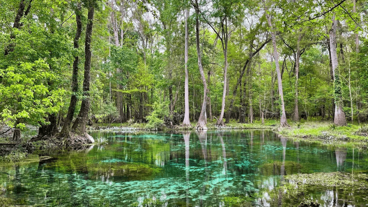 These Lesser-Known Florida Springs Are Way Too Beautiful to Keep Secret