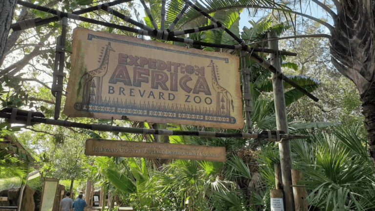 This 75-Acre Florida Zoo Offers Kayaking With Giraffes and Zebras
