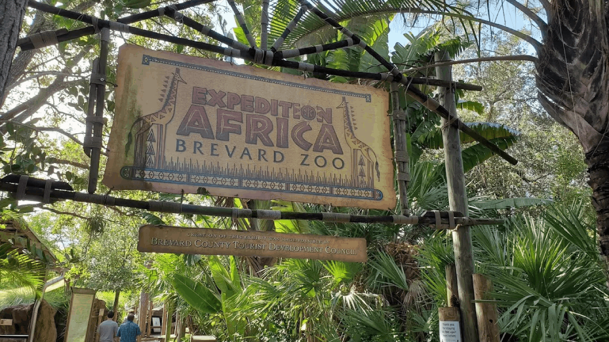 This 75-Acre Florida Zoo Offers Kayaking With Giraffes and Zebras