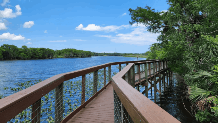 This Florida Trail Has 7 Miles of Boardwalks—and Black Bears