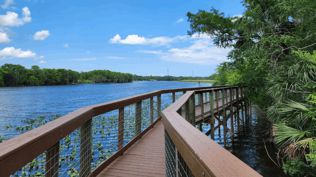 This Florida Trail Has 7 Miles of Boardwalks—and Black Bears