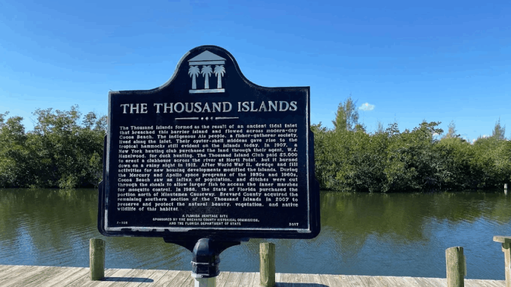 This Hidden Mangrove Tunnel Might Be Florida's Coolest Outdoor Secret