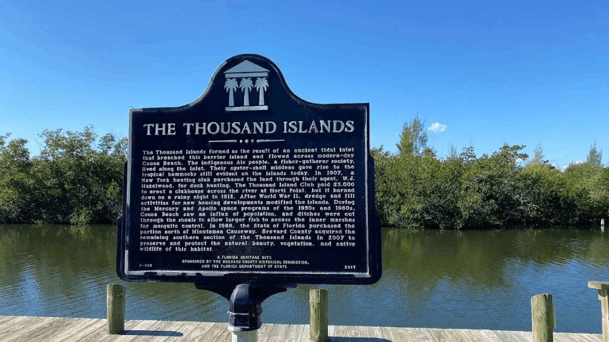 This Hidden Mangrove Tunnel Might Be Florida's Coolest Outdoor Secret