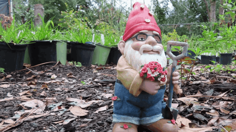 This Tiny Florida Park Is Taken Over by Gnomes, and Visitors Are Obsessed
