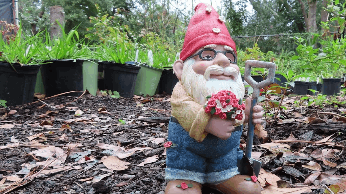 This Tiny Florida Park Is Taken Over by Gnomes, and Visitors Are Obsessed
