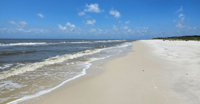 You Can Walk for Miles on This Florida Beach Without Seeing Another Person