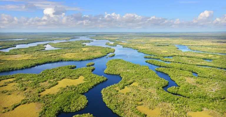 11 Places In Florida You’ll Be Glad You Visited In 2026