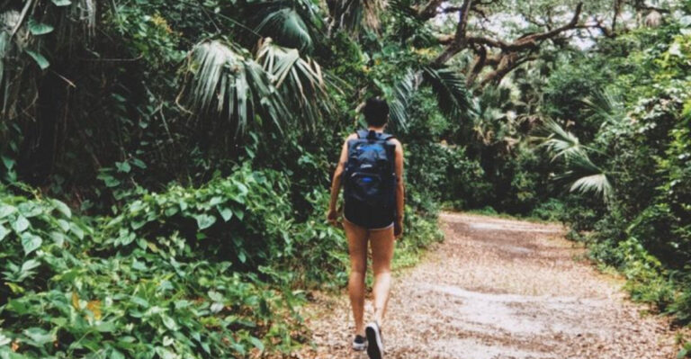 12 Florida Trail Sections for Casual Hikers (Not Thru-Hikers)