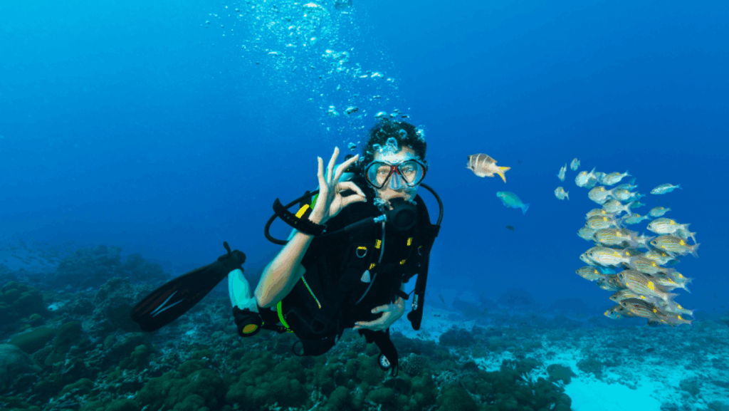 6 Best Scuba Diving Spots in Florida, From Reefs to Wrecks