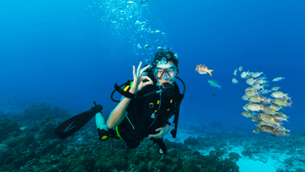 6 Best Scuba Diving Spots in Florida, From Reefs to Wrecks