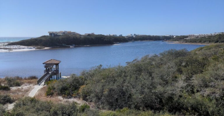 6 of Florida’s Coastal Dune Lake Stops That Feel Like a Nature Documentary
