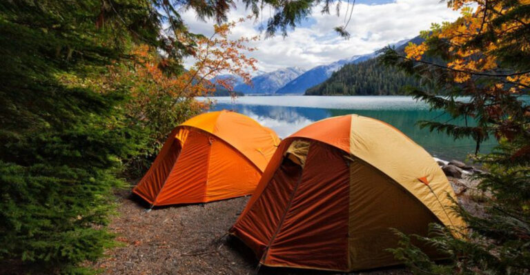 7 Best Campgrounds in Florida for Every Kind of Camper