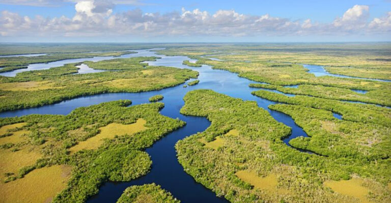 7 Most Breathtaking Natural Wonders in Florida (No Filter Needed)