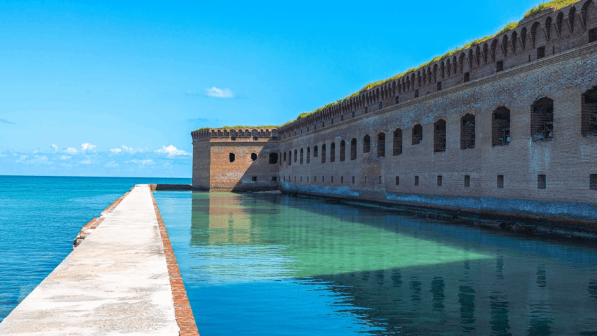 8 Jaw-Dropping Underwater Spots Across Florida You Didn't Know Existed