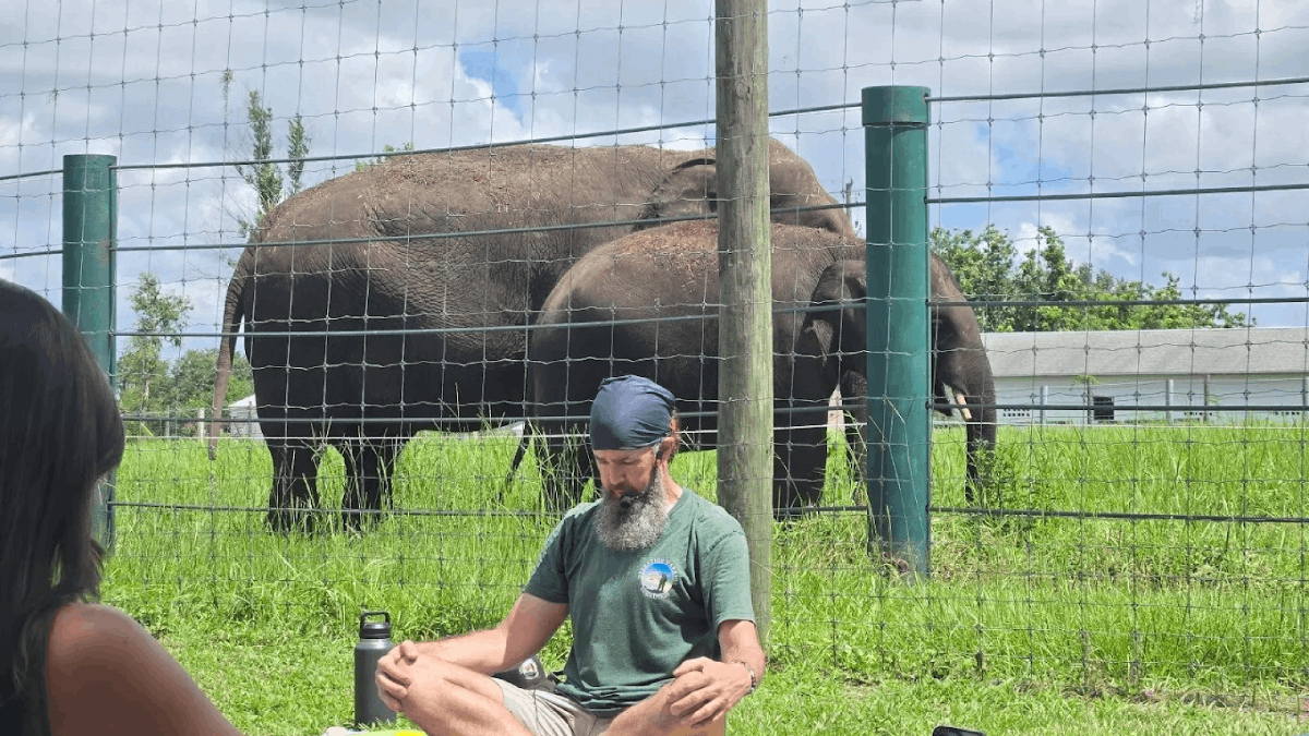 Most People Don't Know This Elephant Ranch Exists in Florida—But It's Incredible