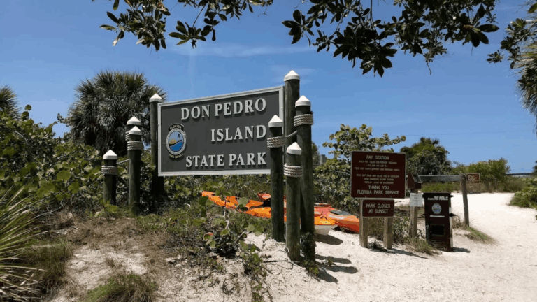 These 10 Unusual Florida Beaches Are Unlike Anything Else in the State