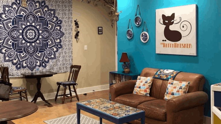 This St. Augustine Spot Lets You Drink Coffee While Lounging With Rescue Cats