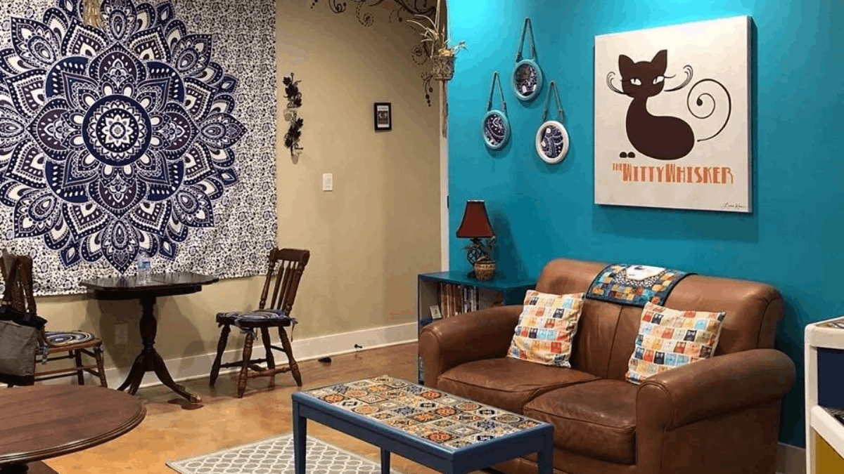 This St. Augustine Spot Lets You Drink Coffee While Lounging With Rescue Cats