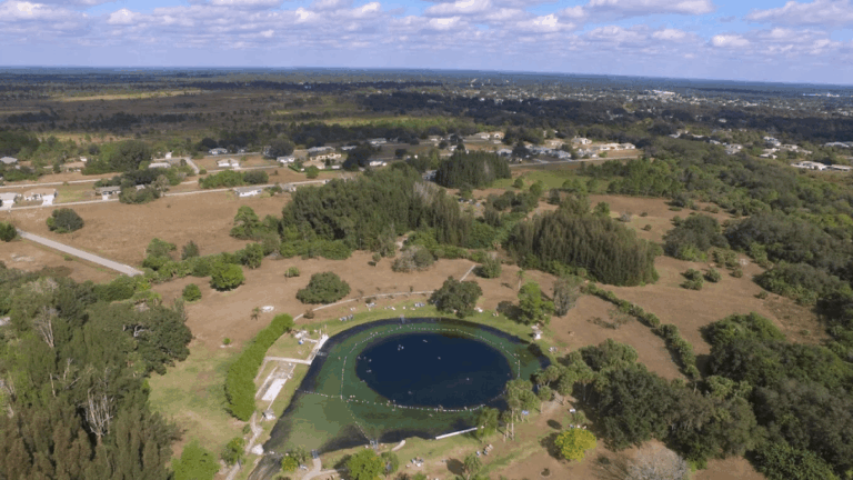 We've Found Florida's Only Natural Warm Spring, and It Feels Like a Hidden Gem