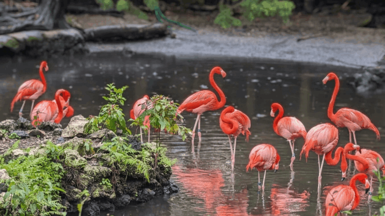 You'll Be Surprised by These 9 Hidden Attractions in Florida