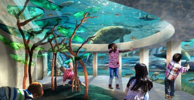 A 330,000-Gallon Manatee “Hospital” Is Opening at Jacksonville Zoo This March