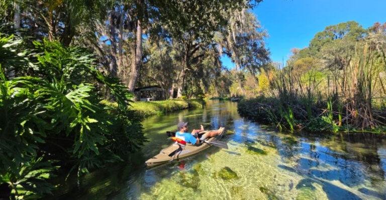 Discover This Under-the-Radar Florida Park With Magical Springs and a Natural Lazy River