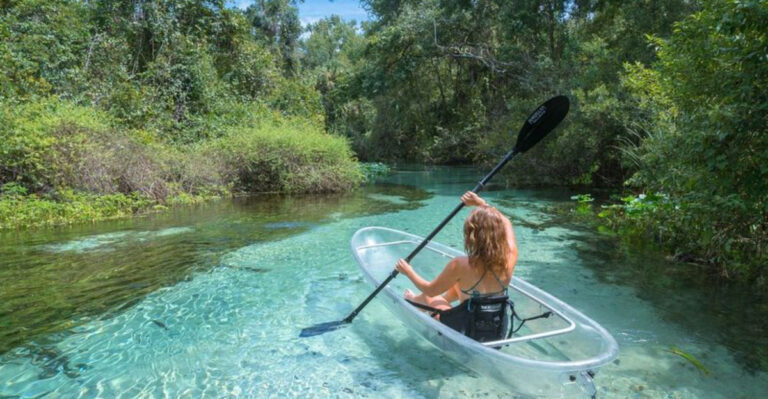 Florida Springs Etiquette: How to Have an Epic Day Without Harming the Spring