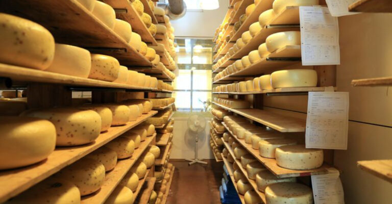 Florida’s Best Artisan Cheese & Charcuterie Shops for the Perfect Picnic