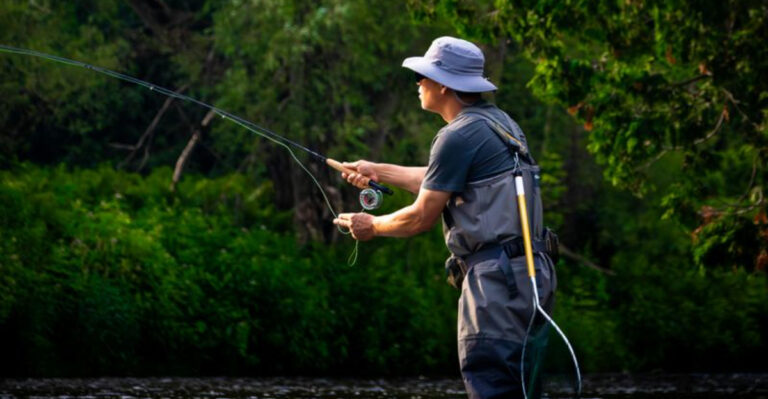 Florida’s Best Freshwater Fishing Spots for Beginners