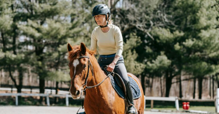 Florida’s 4 Best Horseback Riding Trails and Ranches You Can Visit