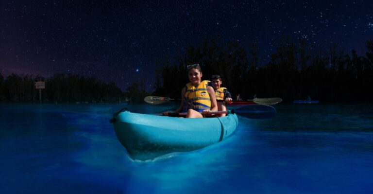 Florida’s “Glowing Water” Road Trip Is the Most Magical Thing You’ll Do This Year