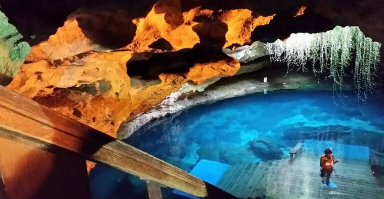 Glow-in-the-Dark Lagoons & Secret Caves: 13 Florida Nature Oddities