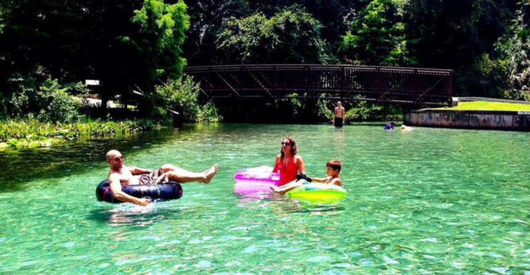 11 Tips for a Nature‑Focused Florida Trip With Zero Theme Parks