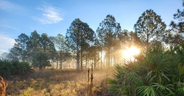 It’s So Quiet in This 8,700-Acre Preserve, You’d Never Know You’re in the Middle of a City