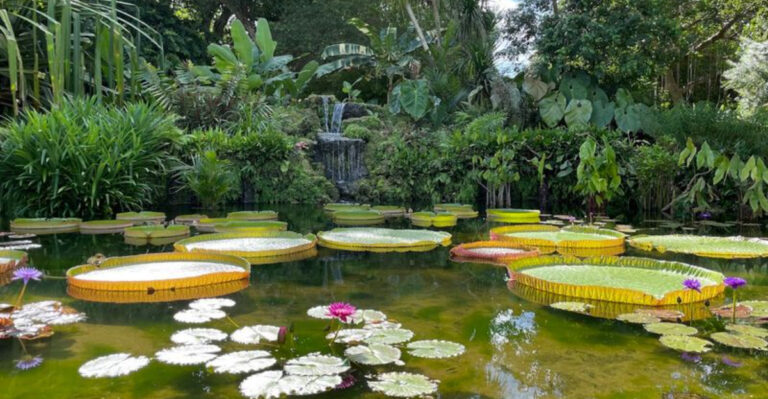 One Of The Most Beautiful Gardens In Florida Is Tucked Away In Coral Gables