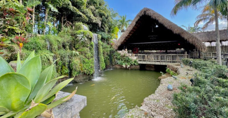 Sip Mango, Avocado, and Star Fruit Wine at This Homestead Winery With Tiki Huts and Waterfalls