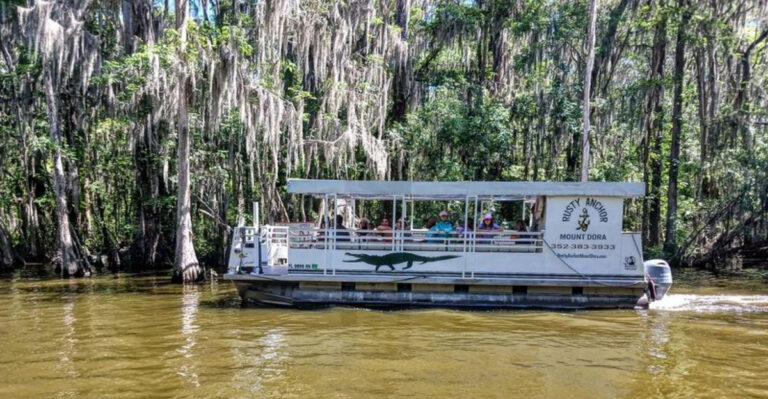 The Hidden Florida Boat Tour Where You Cruise With Gators Under Cypress Giants