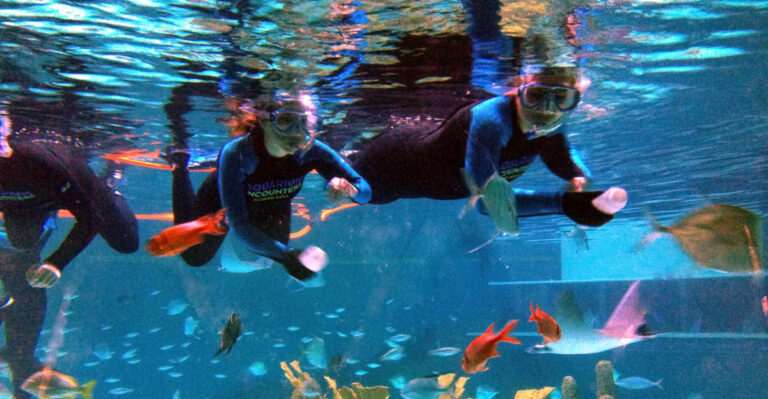 The Ultimate Florida Keys Family Road Trip: 11 Stops From Key Largo to Key West