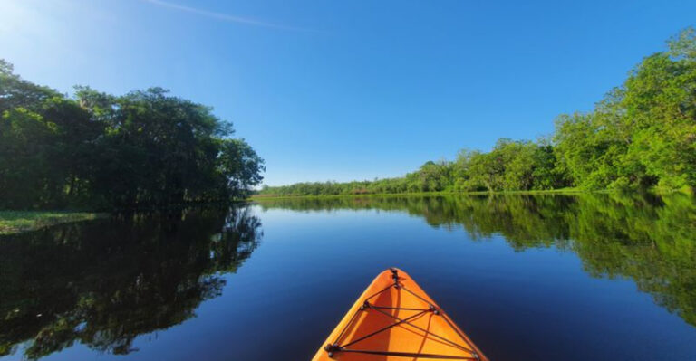 The Ultimate Guide to Florida Swimming Holes: 13 Crystal-Clear Springs You’ll Love